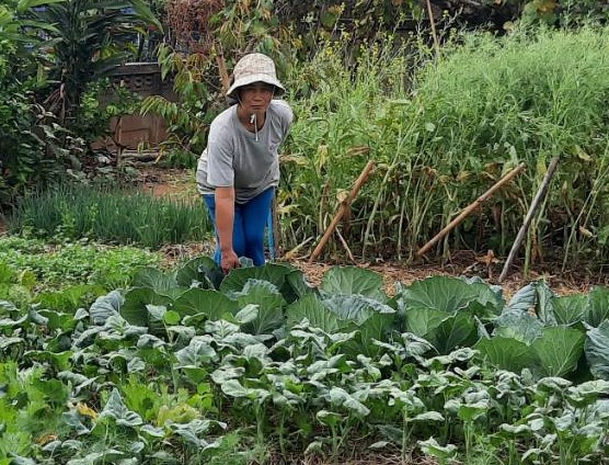 พช.พญาเม็งราย ขับเคลื่อนกิจกรรมสร้างความมั่นคงทางอาหาร ตามหลักปรัชญาของเศรษฐกิจพอเพียง "ครัวเรือนทำตาม" ครัวเรือน ที่ 2